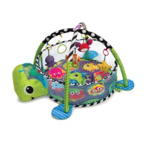 Grow-with-me Infantino Activity Gym and Ball Pit