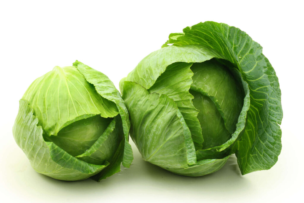 cabbage for pregnancy