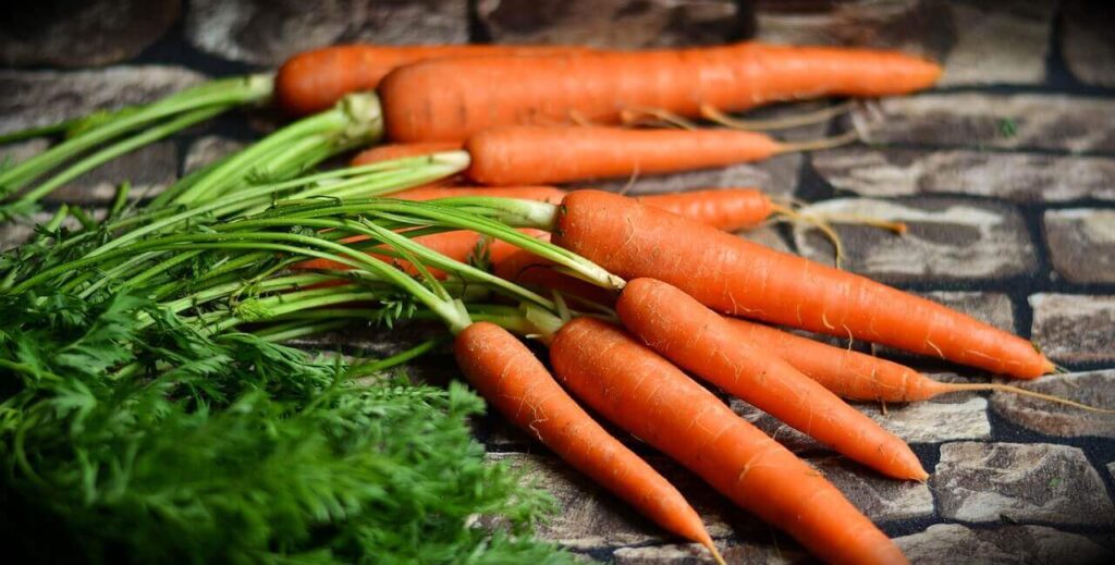 benefits of eating carrots during pregnancy