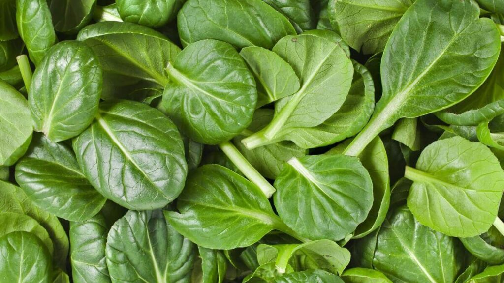 spinach during third trimester