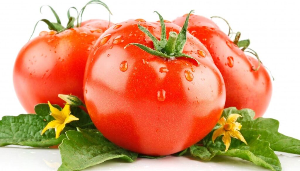 Tomatoes during pregnancy