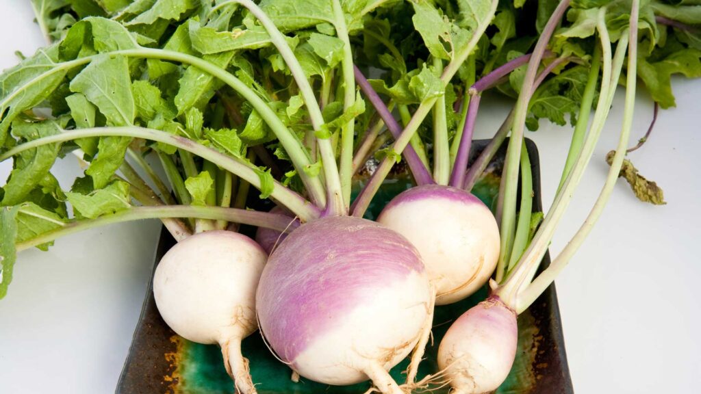 turnip benefits in pregnancy