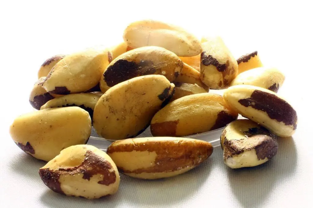 brazil nuts benefits during pregnancy