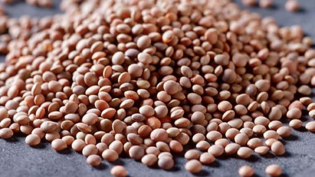 lentils benefits during pregnancy