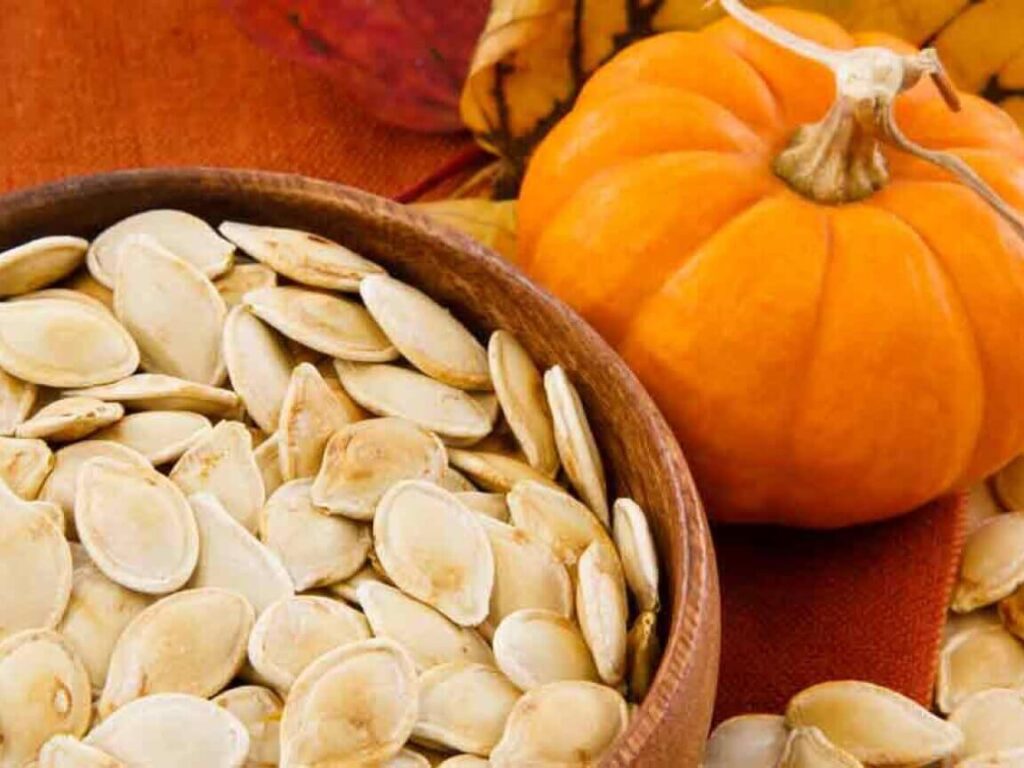 pumpkin seeds benefits during pregnancy