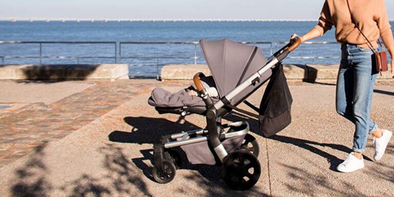 ingenuity inventure pro stroller reviews