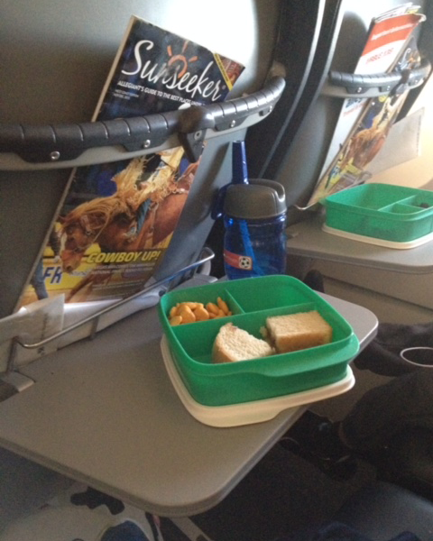 how to entertain a 1 year old on a plane