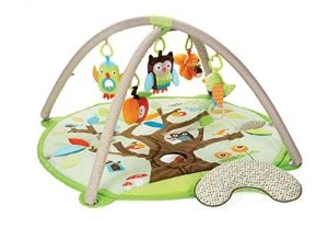 Skip Hop Baby Treetop Friends Activity Gym