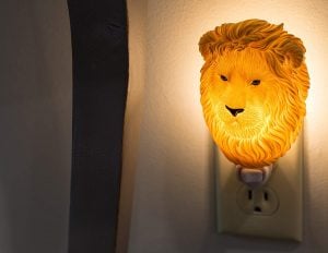 Hand-Painted Night Light