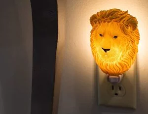 Hand-Painted Night Light