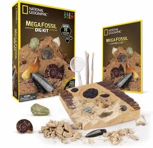 Mega Fossil Mine- Dig Up 15 Real Fossils