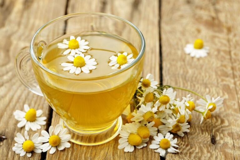 Is Chamomile Tea Safe During Pregnancy Find Answer Here Is Chamomile Tea Safe During Pregnancy Find Answer Here