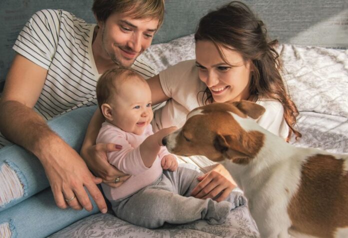 Baby and Dogs
