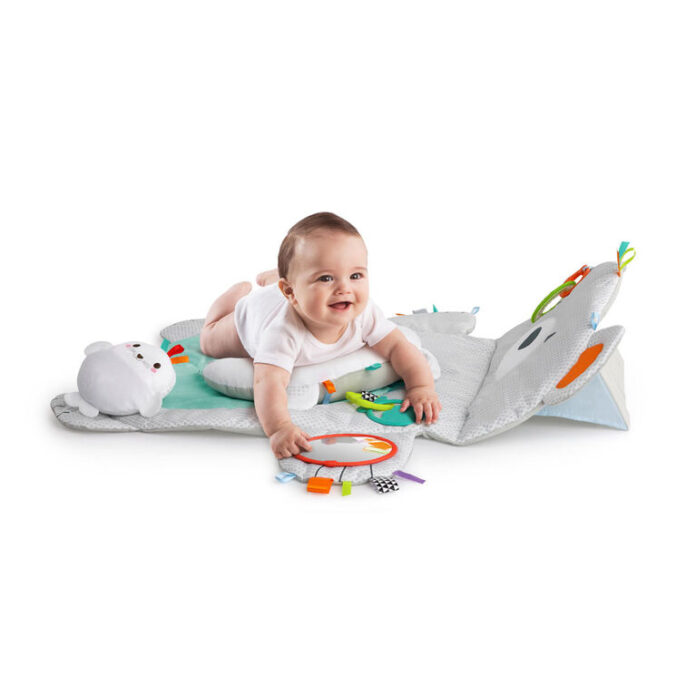 Bright Starts Tummy Time Prop & Play Mat 2024 Buying Guide