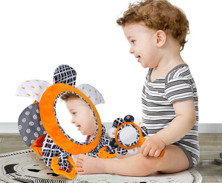 baby capsule mirror