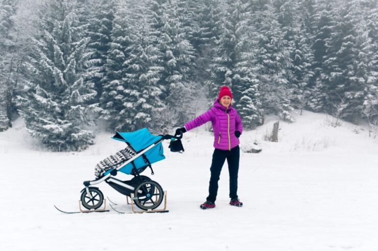 best stroller for snow