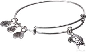 Alex and Ani Bangle Bracelet