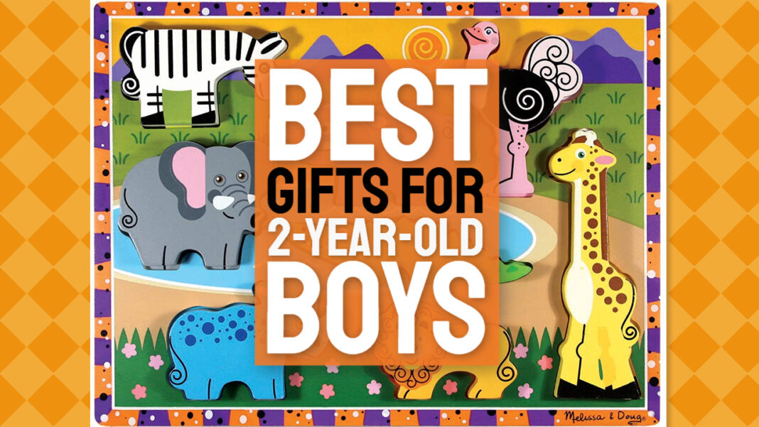 30 Best Toys and Gift Ideas for 2YearOld Boys 2023 Top Picks