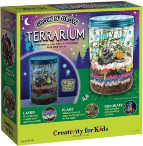 Grow 'N Glow Terrarium Kit for Kids 