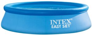 Intex Easy Set Up Pool
