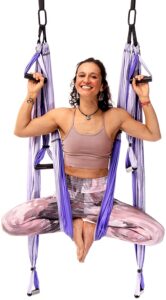 YOGABODY Yoga Trapeze Pro- Inversion Swing
