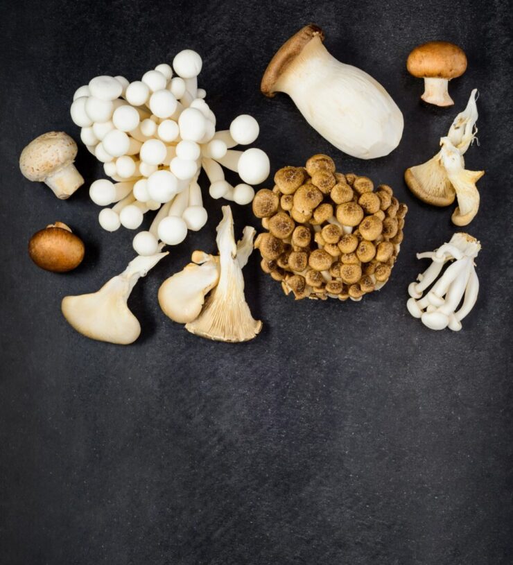Can You Eat Mushrooms While Pregnant? 2024 Guide