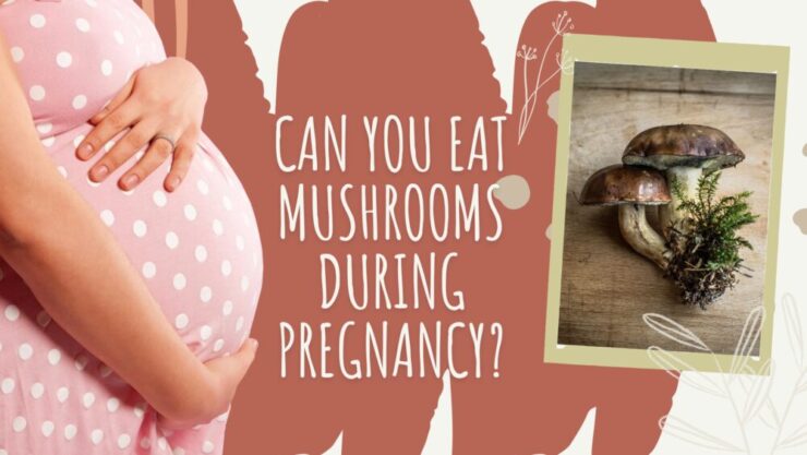 Can you eat mushrooms while pregnant