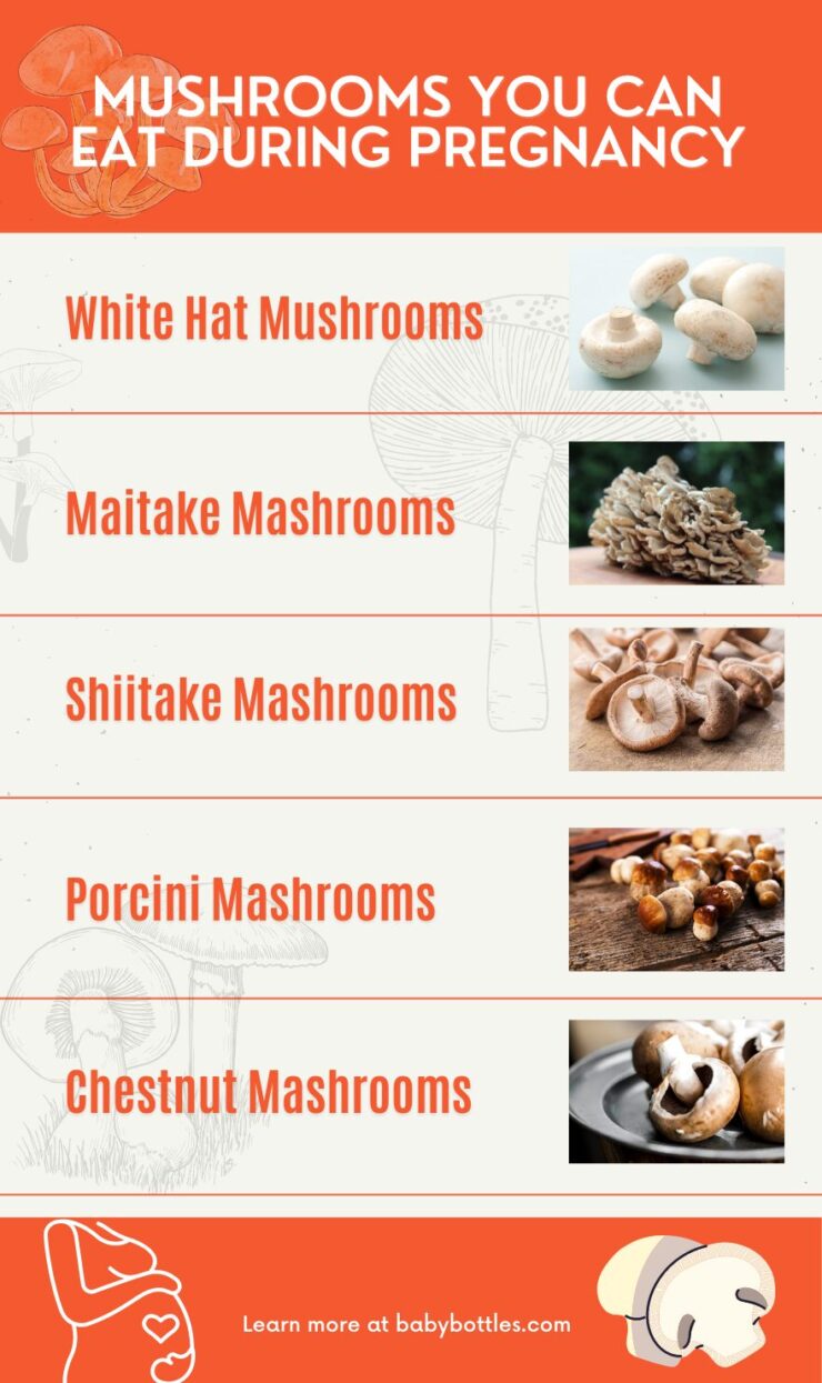 Mushrooms you can eat during pregnancy infographic